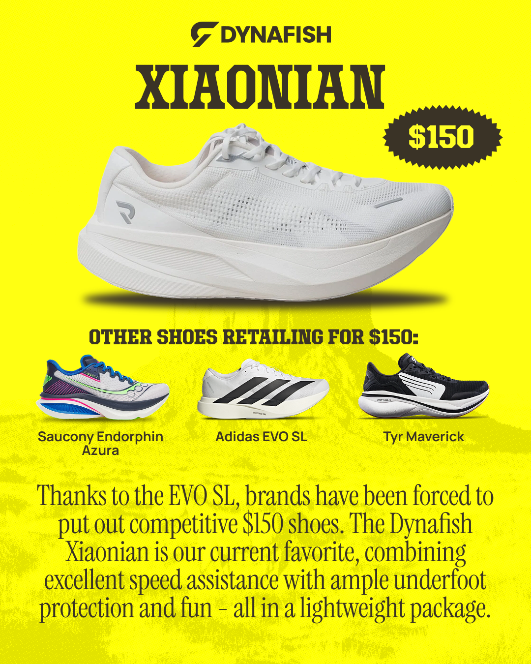 Official US Retailer of the Dynafish Xiaonian and Our Thoughts